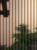 IMG_1444.jpg