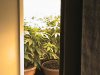 52 Days 004.jpg