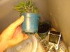 DSC01552.jpg