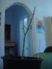 DSC06199.jpg