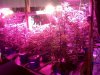 IMG00083-20100804-1636.jpg