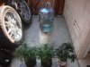 DSCN2678.jpg