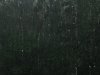 rain 002.jpg