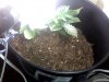 Snapshot_20100809_7.jpg