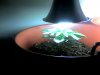 Snapshot_20100809_2.jpg