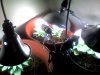 Snapshot_20100809_1.jpg