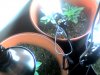 Snapshot_20100809_5.jpg