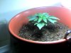 Snapshot_20100809_3.jpg
