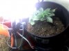 Snapshot_20100809_8.jpg