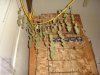 DSC08296.jpg