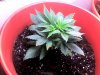 Snapshot_20100814.jpg