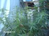 8-14-10 SSTSS b4 LST 003.jpg