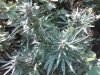 IMG00010-20100826-1048.jpg