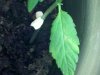 IMG_20100825_200902.jpg