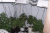DSCF6210.jpg