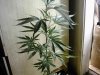 IMG_0071.jpg