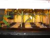 dwc pics 018.jpg