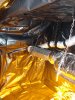 COMPLETE tent 005.jpg