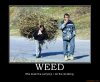 weed-demotivational-poster-1225126055.jpg