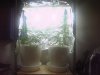 Grow Setup 06.jpg