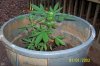 100_6867.jpg