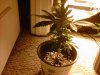 IMG00028-20101008-0511.jpg