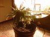 IMG00024-20101008-0510.jpg