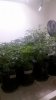 2010-10-12_11-08-30_594.jpg