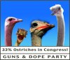 GADPOstriches.jpg