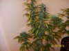 100_2073.jpg
