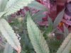 2010-10-25 17.48.08.jpg