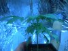 DSCN0730.jpg