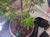IMG_20101101_194617.jpg