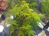 IMG_20101101_194551.jpg