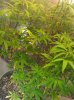 IMG_20101101_194629.jpg