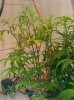 IMG_20101101_194648.jpg