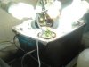 DSC01698.jpg