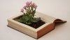 design-happens-book-planter-bloom600x350[1].jpg