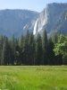 yosemite summer 2010.jpg