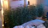 IMAG0339.jpg