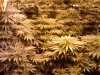 2010-12-27 09.06.32.jpg