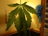 DSC01873.jpg