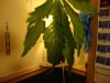 DSC01872.jpg