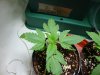 DSC01876.jpg