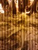 2011-01-06 10.36.31.jpg