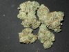 doggie nugs 003.jpg