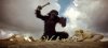 2001-a-space-odyssey-ape.jpg