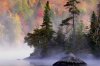 fallinthebackwoods.jpg