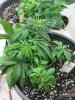 rsz_img_1024.jpg