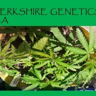 Berkshire Gen. S.A